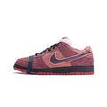 Nike Sb Dunk