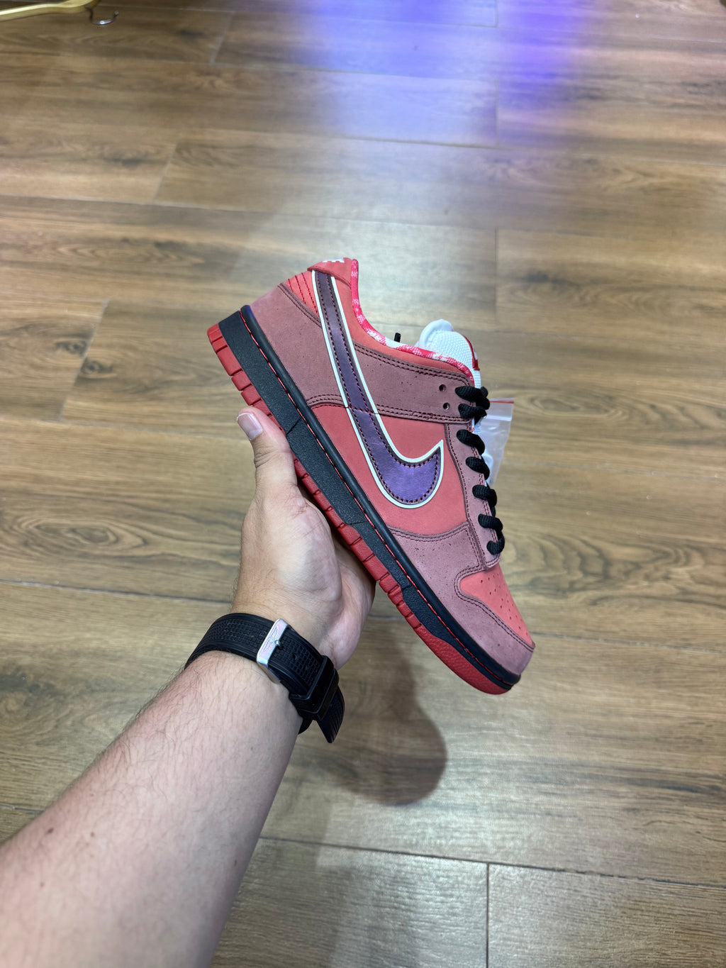 Nike Sb Dunk